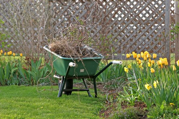 Flower Bed Cleanup Service in Tomball