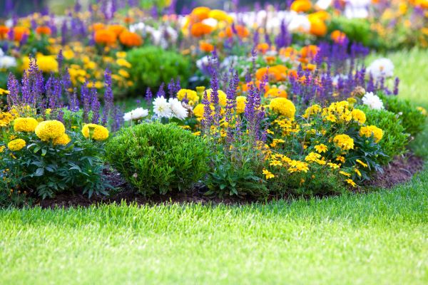 Flower Bed Maintenance in Tomball