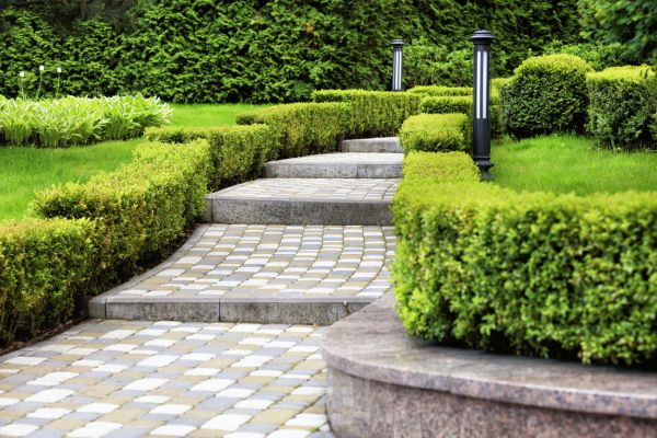 Backyard Remodeling in Tomball