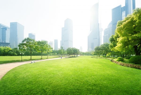 Commercial Landscape Maintenance in Tomball