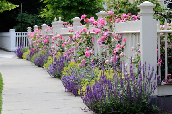 Garden Handyman Service in Tomball