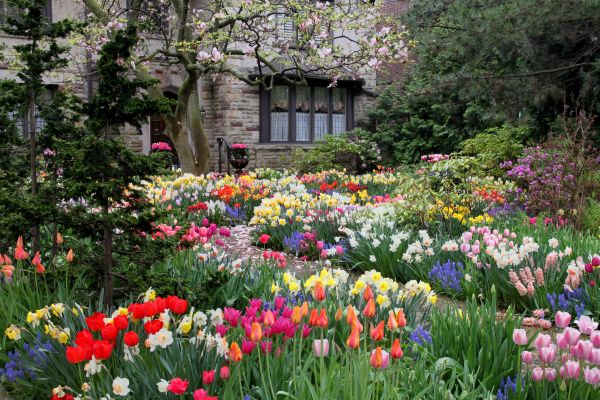 Garden Maintenance Service in Tomball