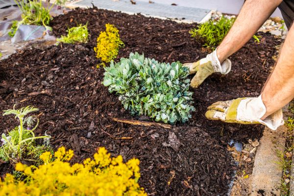 Weeding And Mulching in Tomball