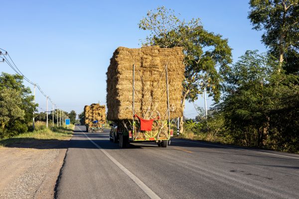 Pine Straw Delivery in Tomball
