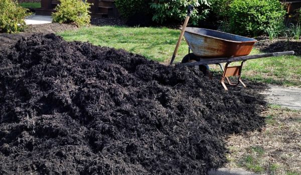 Black Mulch Delivery in Tomball