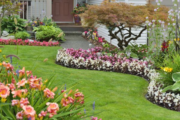 Perennial Landscaping in Tomball