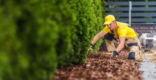 Cypress Mulch Installation in Tomball