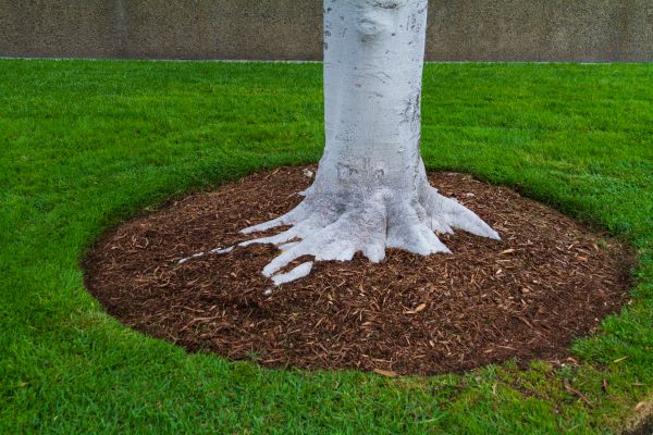 Brown Mulch Installation in Tomball