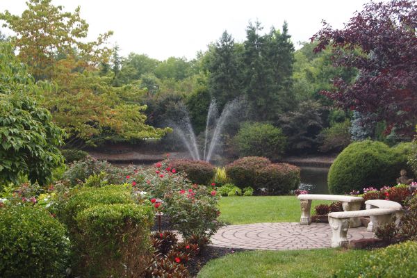Courtyard Design Service in Tomball