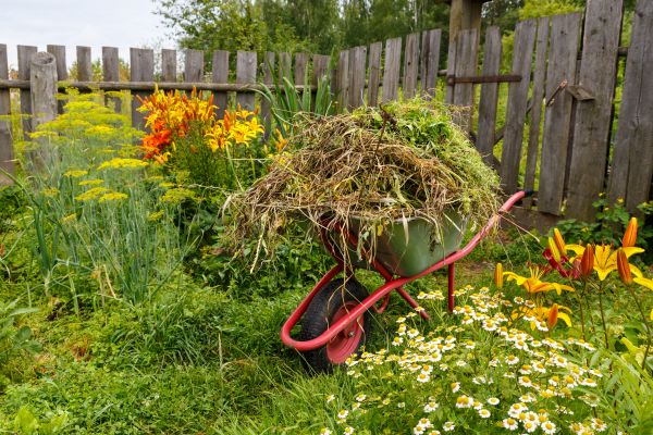 Garden Cleanup Service in Tomball