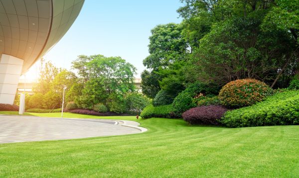 Business Landscape Design in Tomball