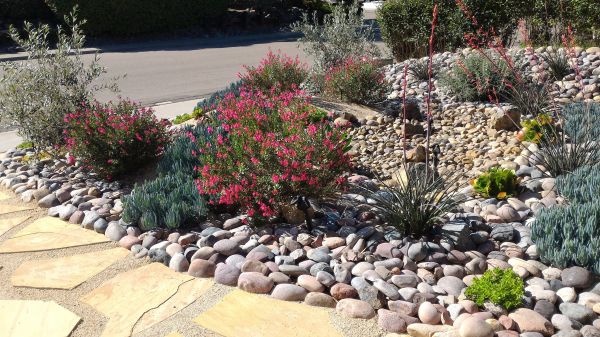 Xeriscape Landscaping in Tomball