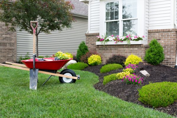 Tree And Shrub Planting in Tomball