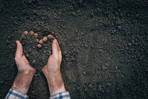 Soil Installation in Tomball