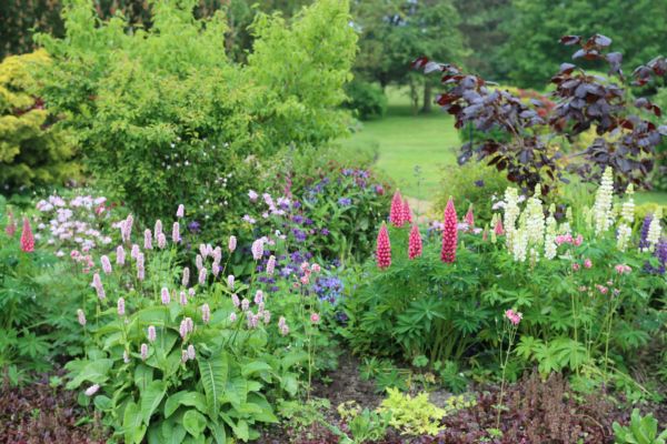 Flower Bed Planting in Tomball