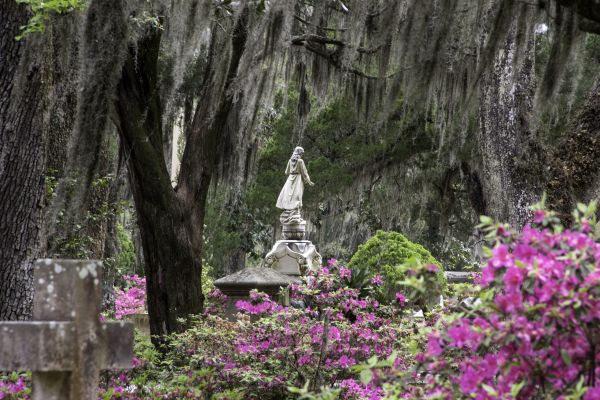 Cemetery Landscaping in Tomball