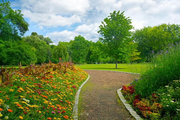 Park Landscaping in Tomball