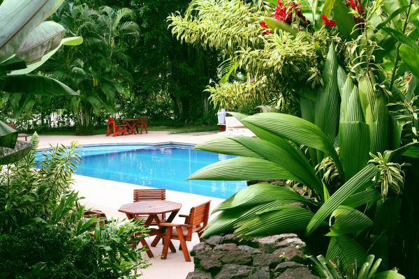 Tropical Garden Landscaping in Tomball