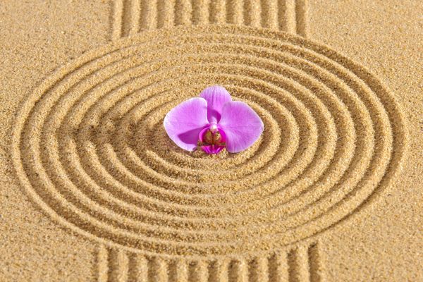 Sand Garden Landscaping in Tomball