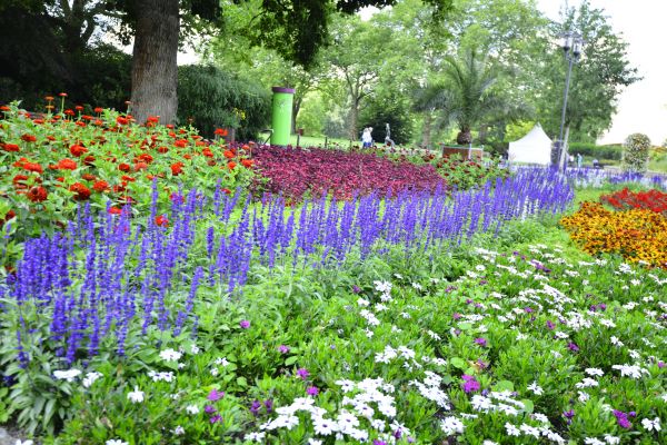 Perennials Planting in Tomball