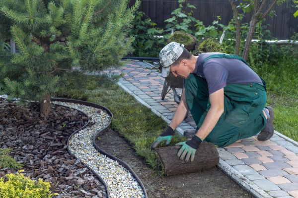 Landscaping Modification in Tomball