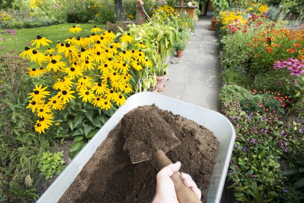 Topsoil Replacement in Tomball