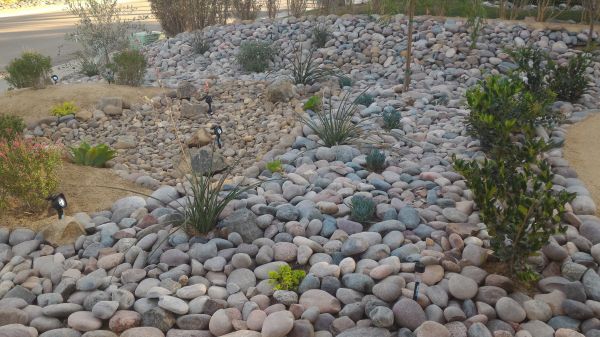 Yard Xeriscaping in Tomball