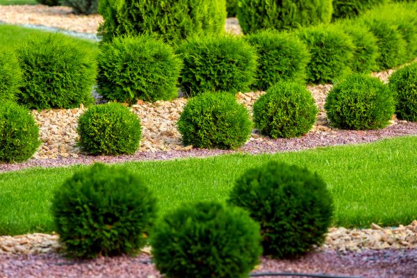 Bush Replacement in Tomball