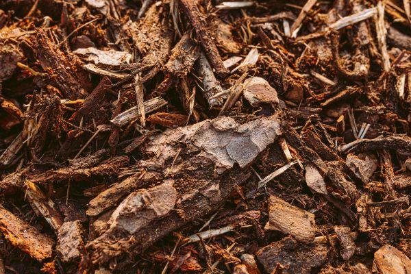 Bark Mulch Delivery in Tomball