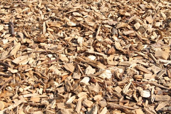 Wood Mulch Delivery in Tomball