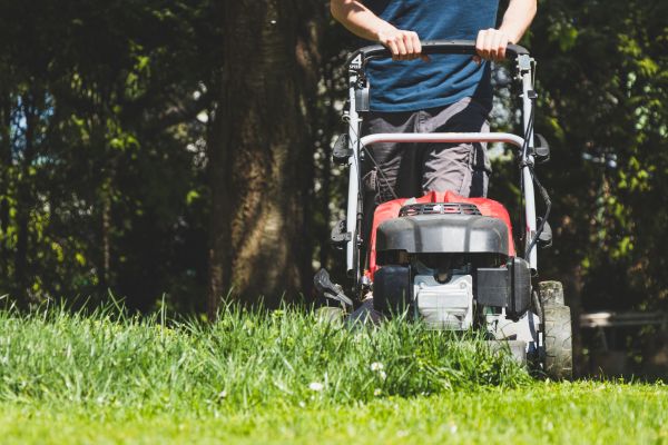 Garden Trimming Service in Tomball
