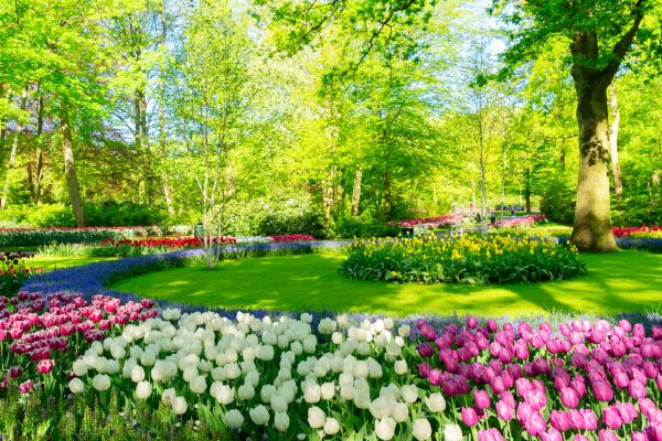 Flower Landscaping in Tomball