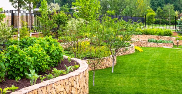 Yard Makeover Service in Tomball