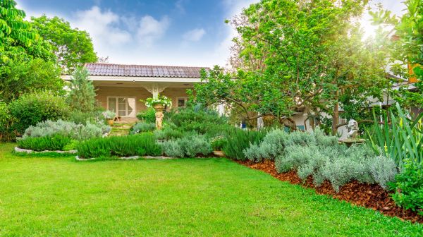 Greenery Planting in Tomball