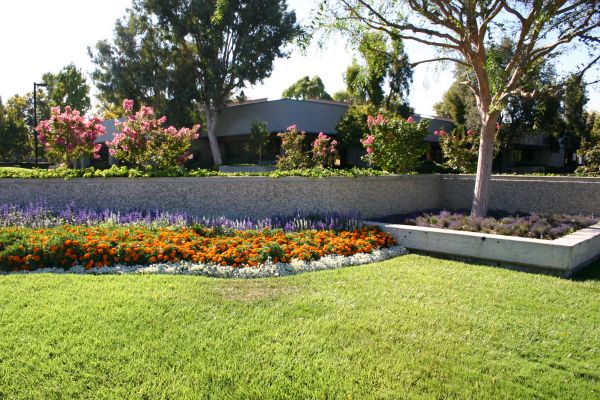 Commercial Landscape Service in Tomball