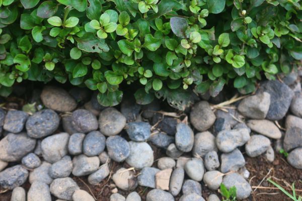 River Stone Installation in Tomball