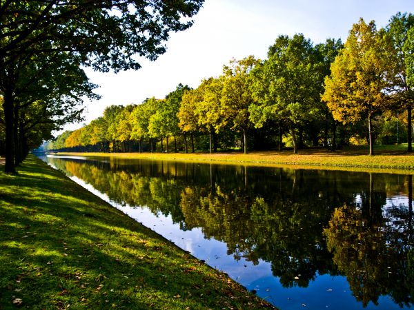 Bank Landscaping in Tomball
