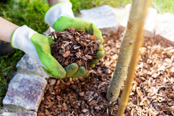 Tree Bark Delivery in Tomball