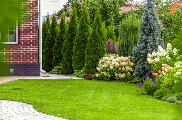 Spring Landscaping in Tomball