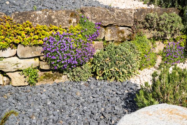 Landscaping Rocks Installation in Tomball