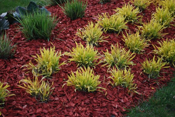 Red Mulch Installation in Tomball