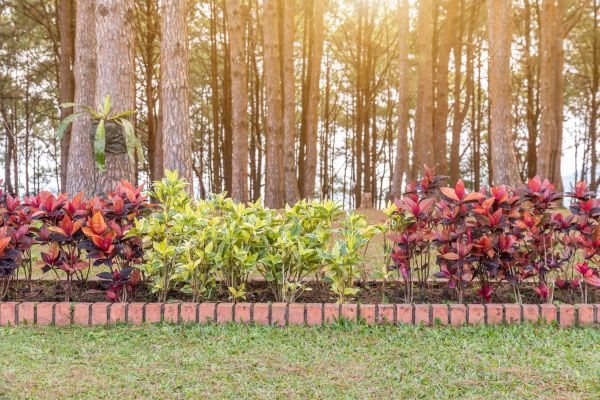 Small Garden Landscaping in Tomball