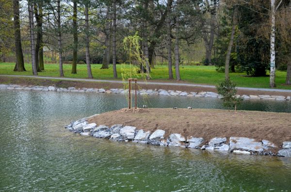 Pond Landscaping Service in Tomball