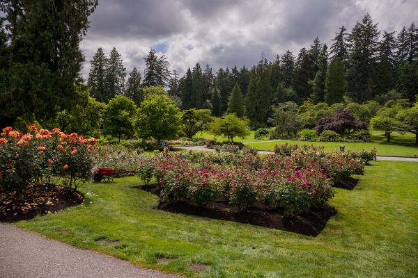 Flower Garden Landscaping in Tomball