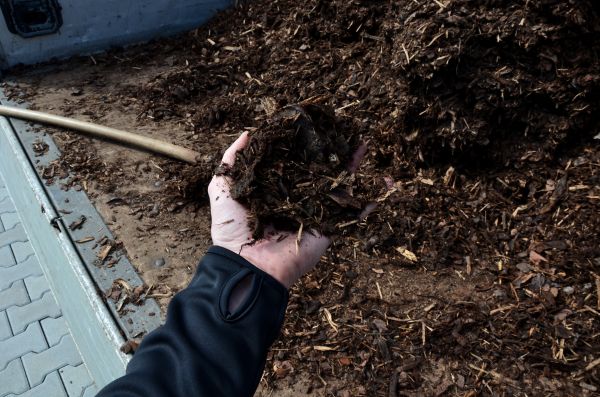 Condo Mulching in Tomball