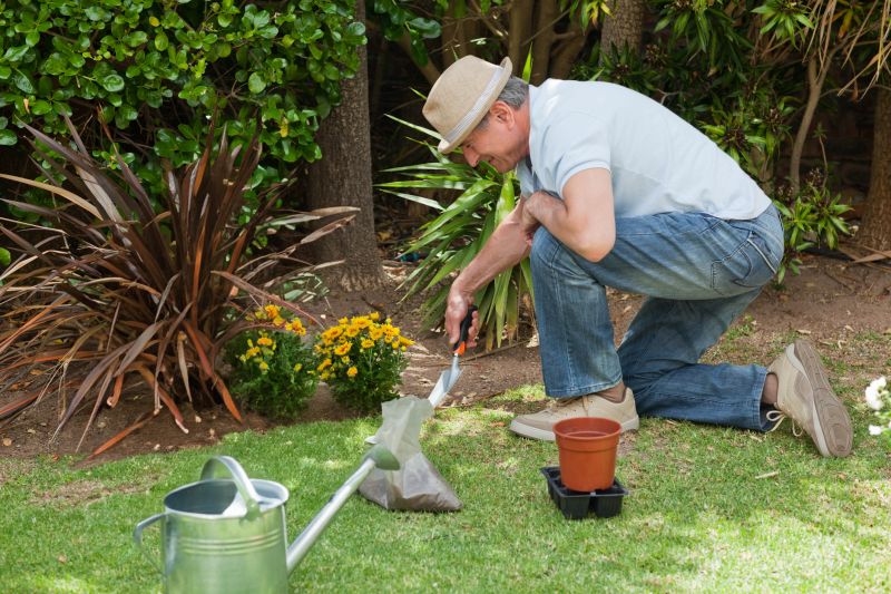 Artistic Plant Arrangements
