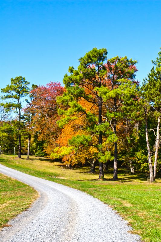 Autumn Landscape Features